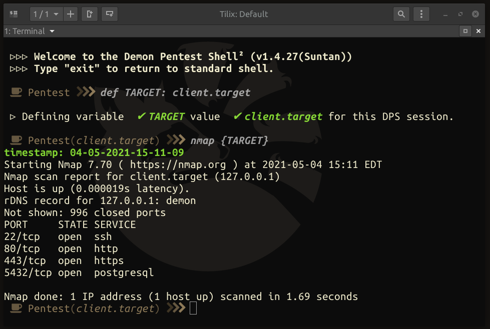 Demon Pentest Shell Variable definition